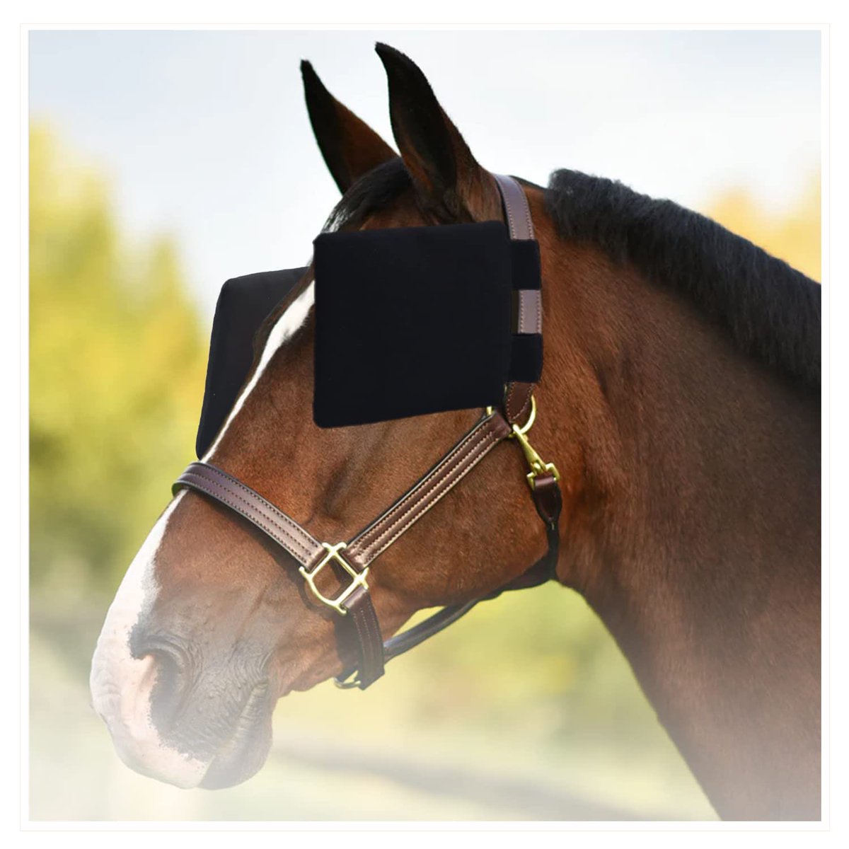 Peanut Butter Conspiracy tweet media