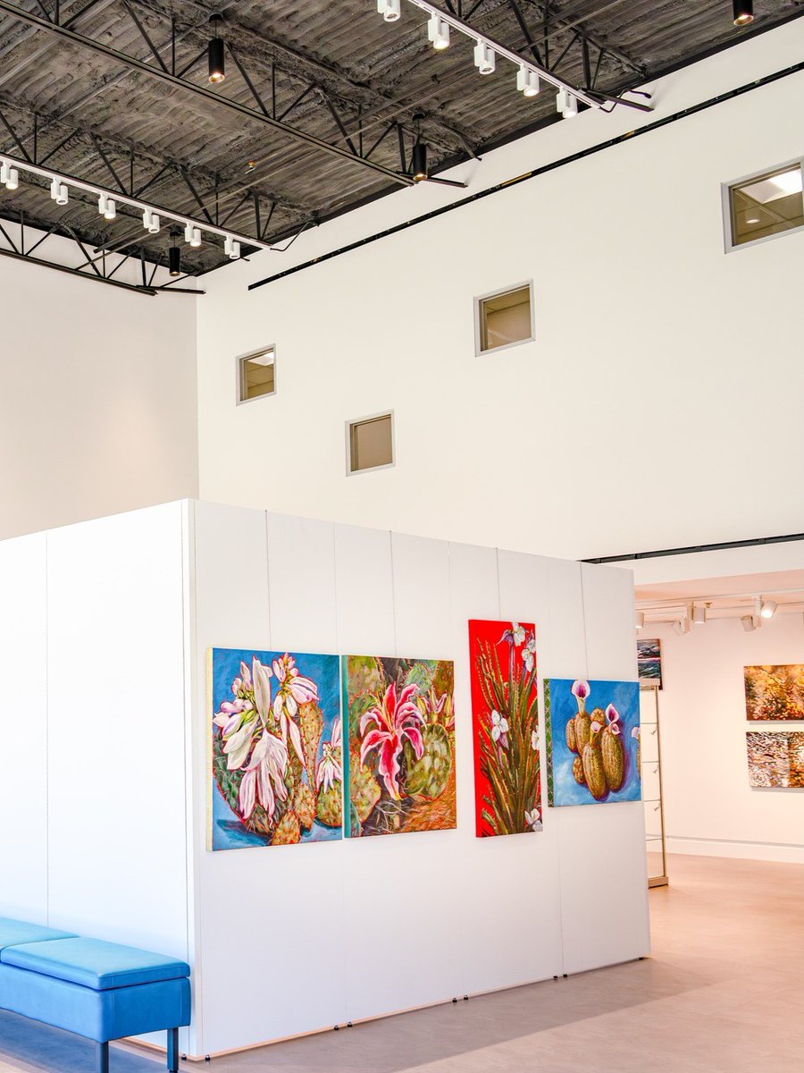 Go Round Rock tweet media