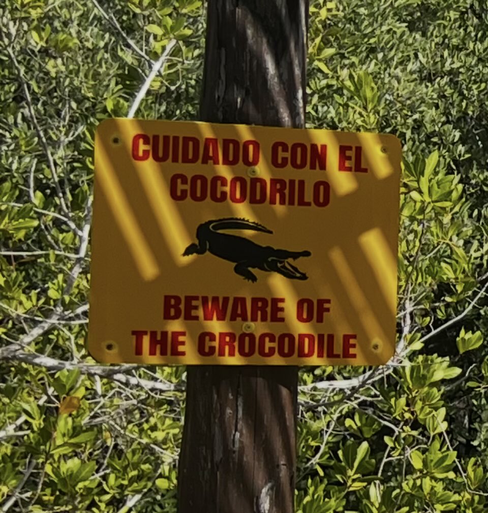 RichardBrown tweet media