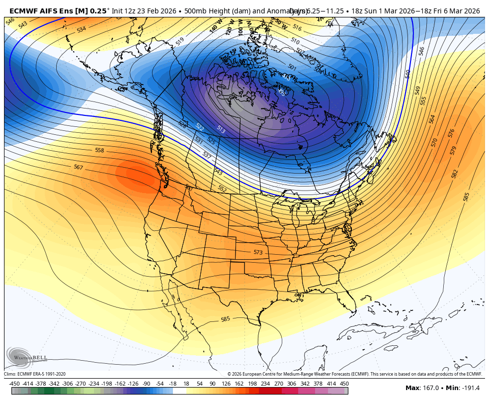 Vlad Raducu🇨🇦 tweet media