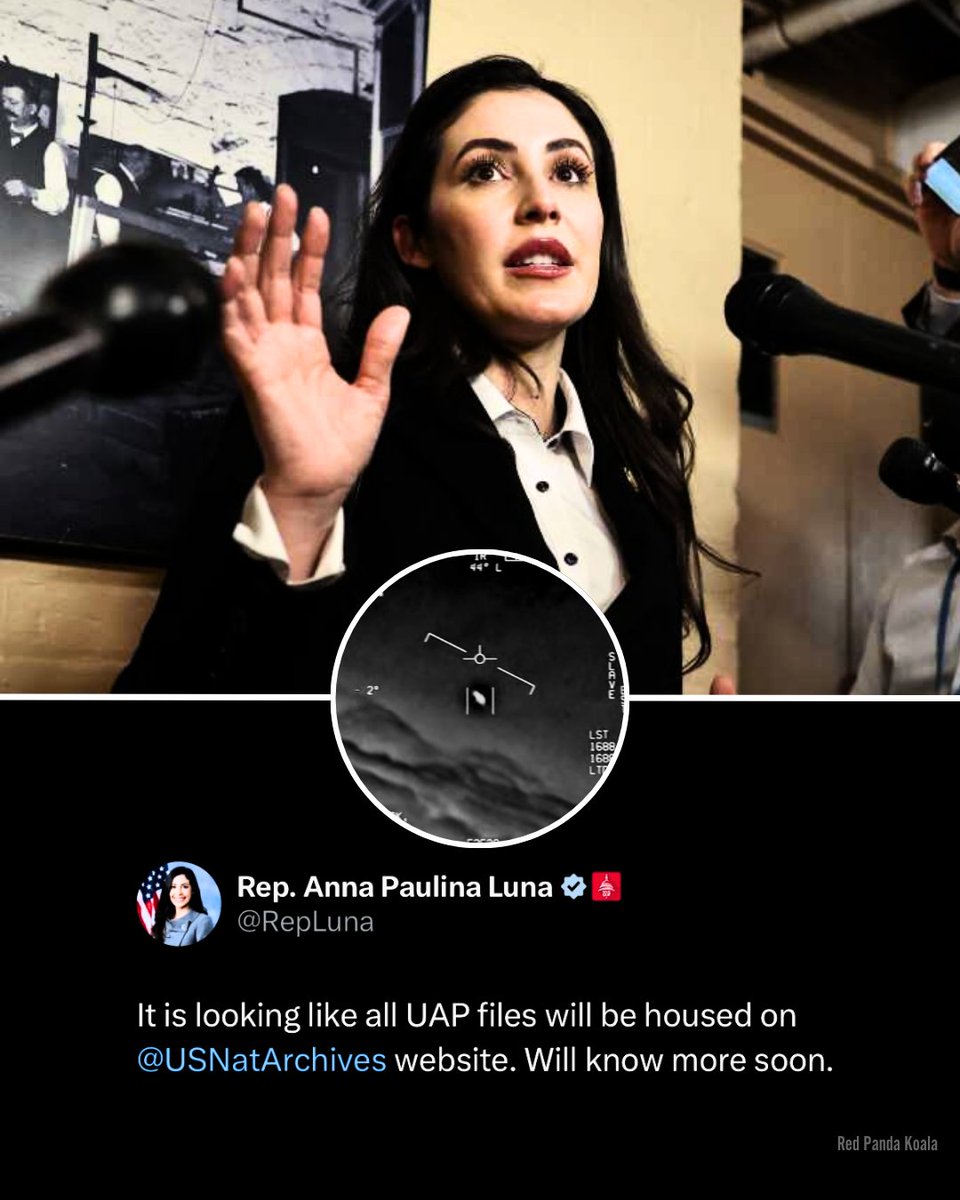 Red Panda Koala tweet media