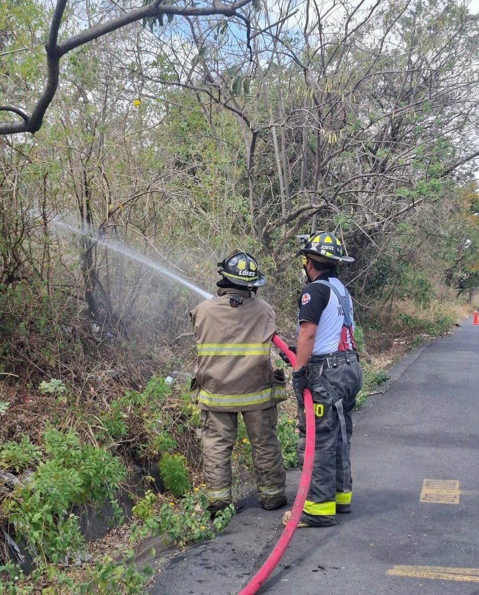 vichoguate's tweet photo. Serpientes fueron victimas de incendio forestal.

Fuego se propagó rápidamente debido al viento en kilómetro 96 de Ruta Nacional 14.

Bomberos Voluntarios de San Juan Alotenango y Ciudad Vieja controlaron las llamas. https://t.co/ymkqsFfQy0
