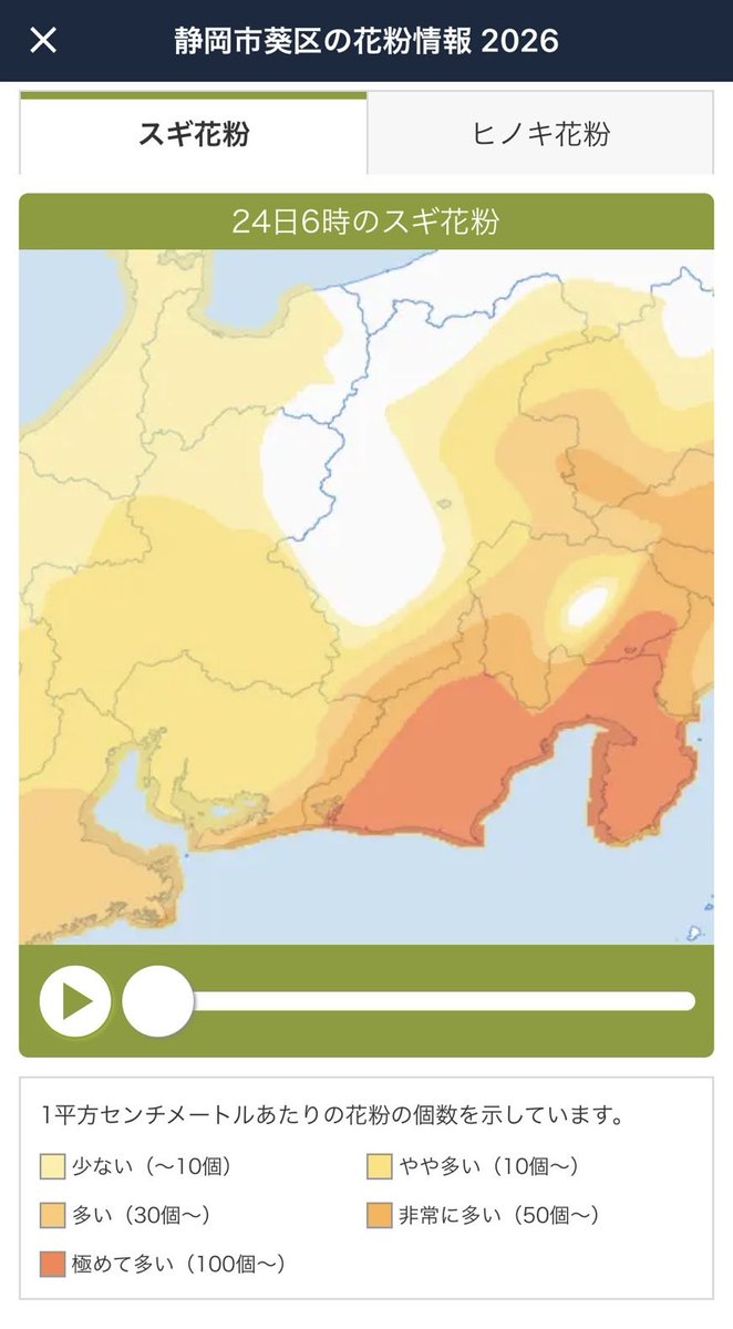 今の静岡県、スギ花粉の集中攻撃を受けてる