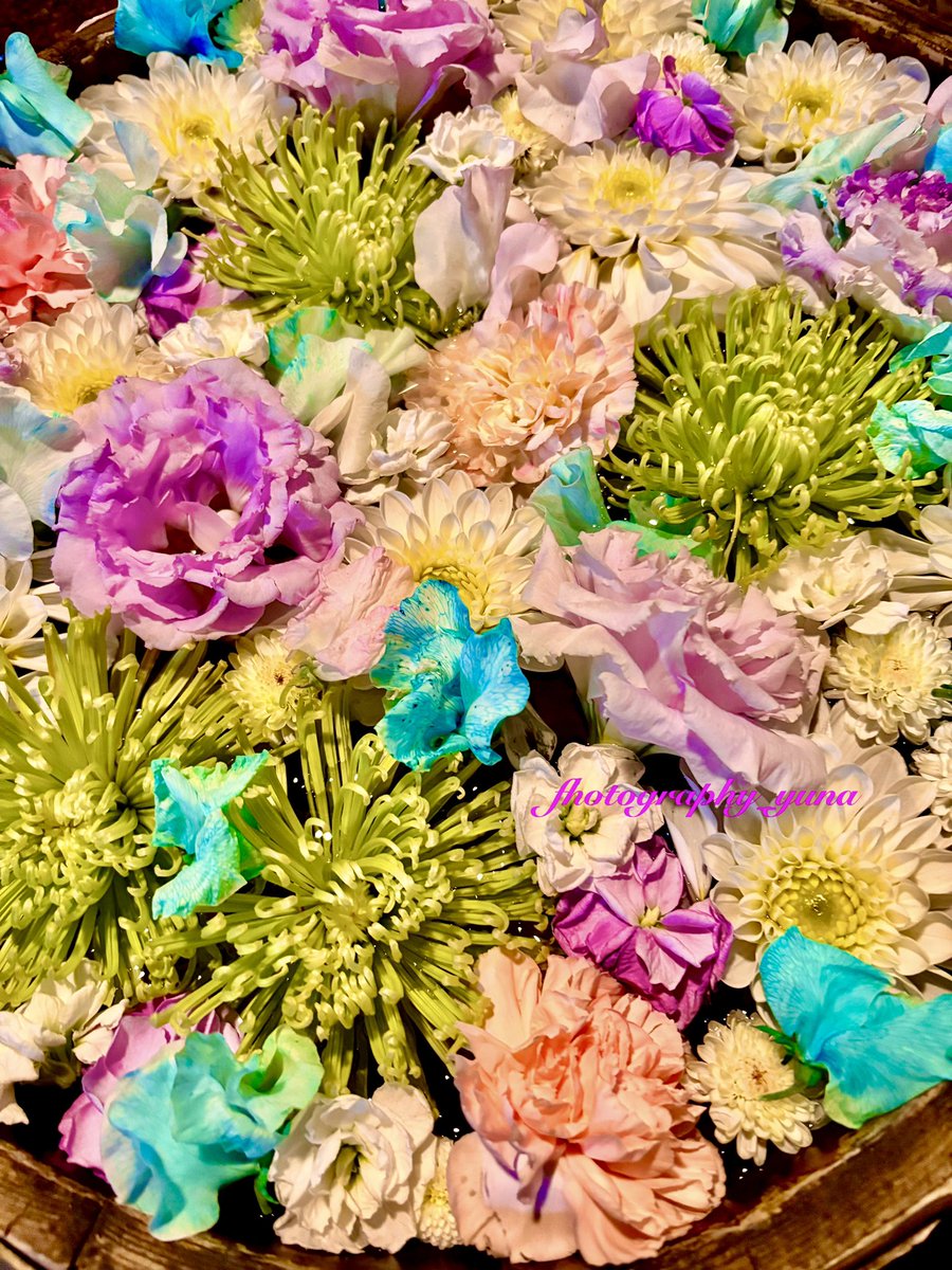 🌺yuna.∗⋆🫧❃😅 tweet media