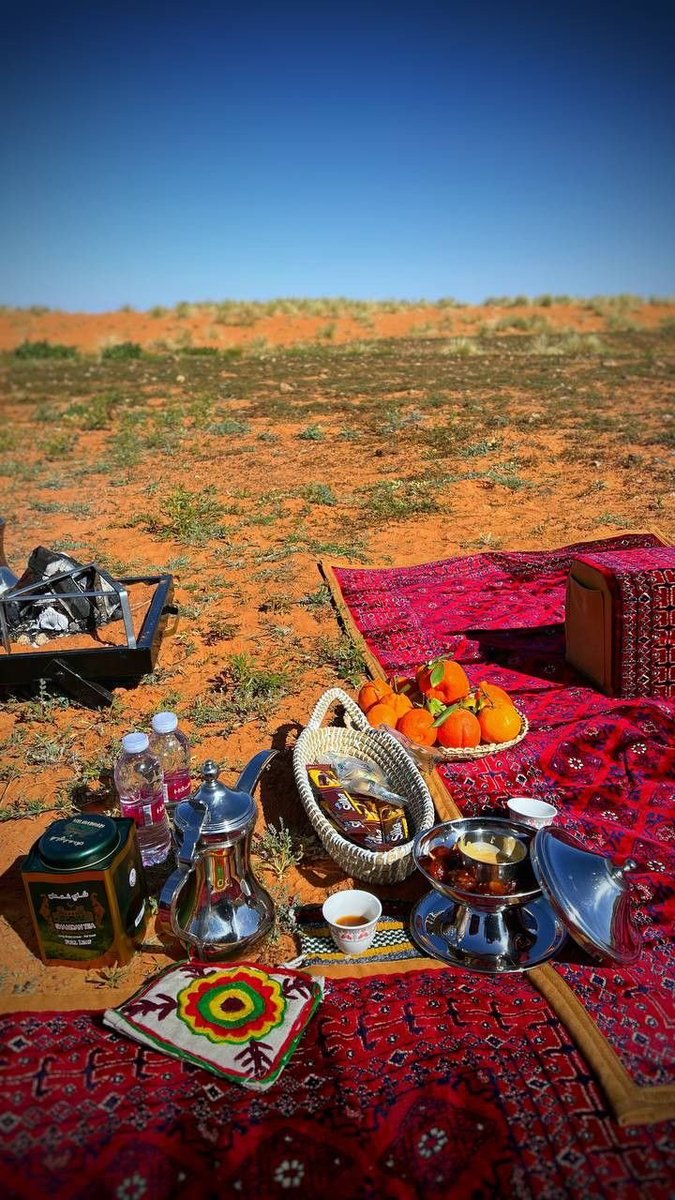 مع كل طلعة، قلب الباديه يحس بالحرية 🐪💛