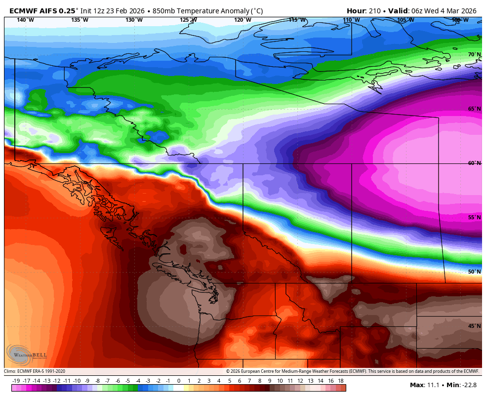 Vlad Raducu🇨🇦 tweet media