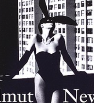 ヘルムート・ニュートンのこの1枚。 バニーガール衣装の女性の背後は