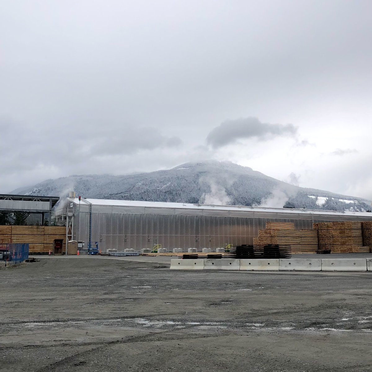 Western Forest Products tweet media