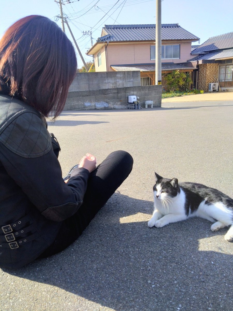 nico ringo🍎 tweet media