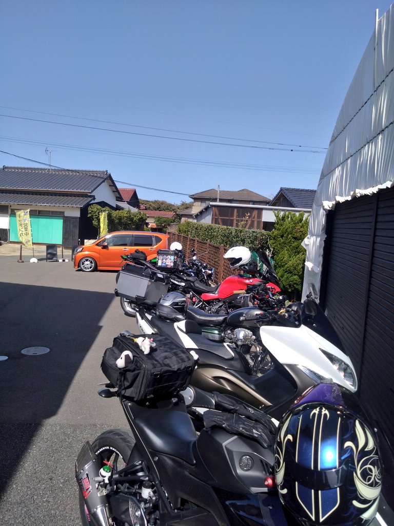 nico ringo🍎 tweet media