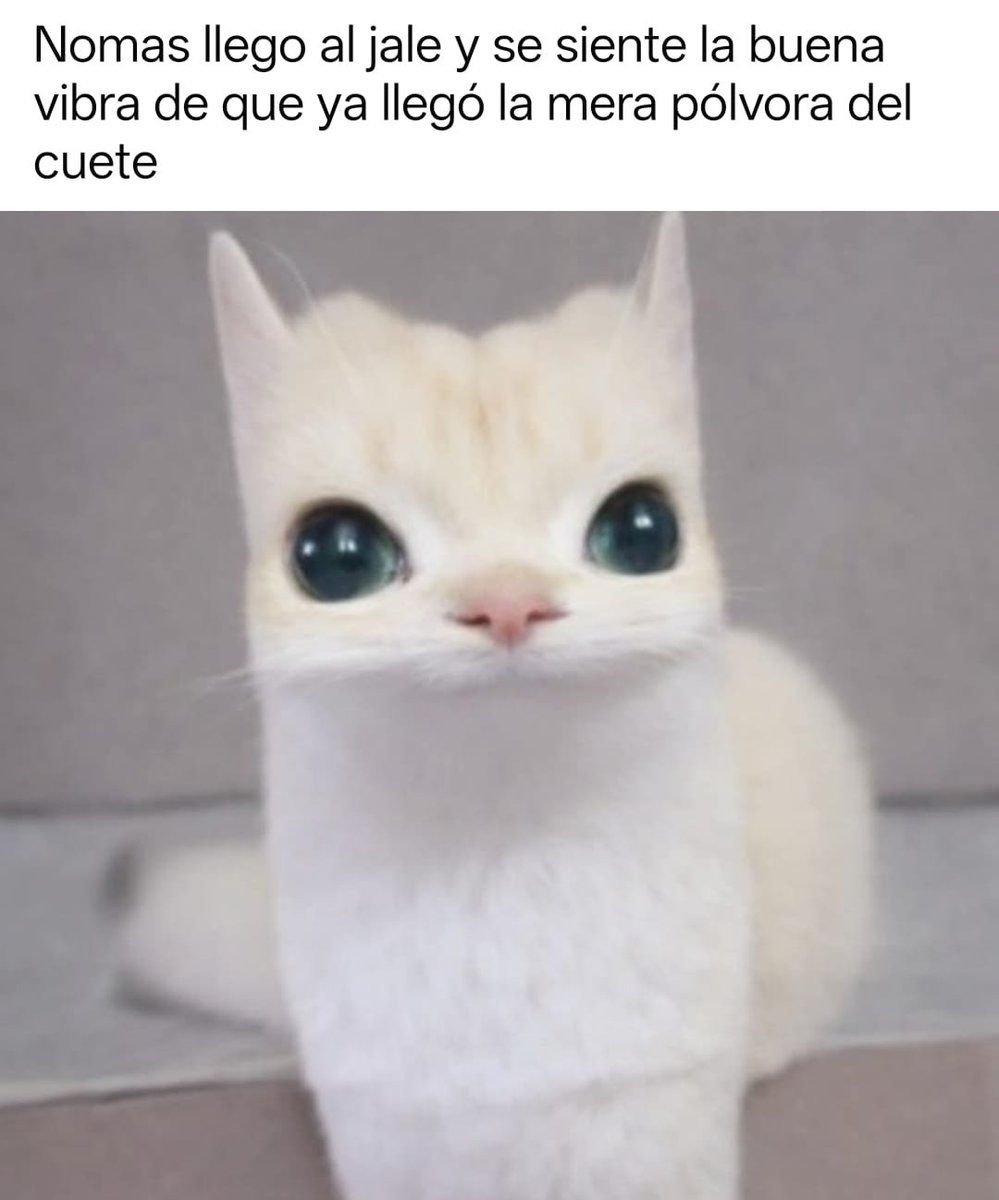 Omar ShaftRiff (@shaftriff) on Twitter photo 