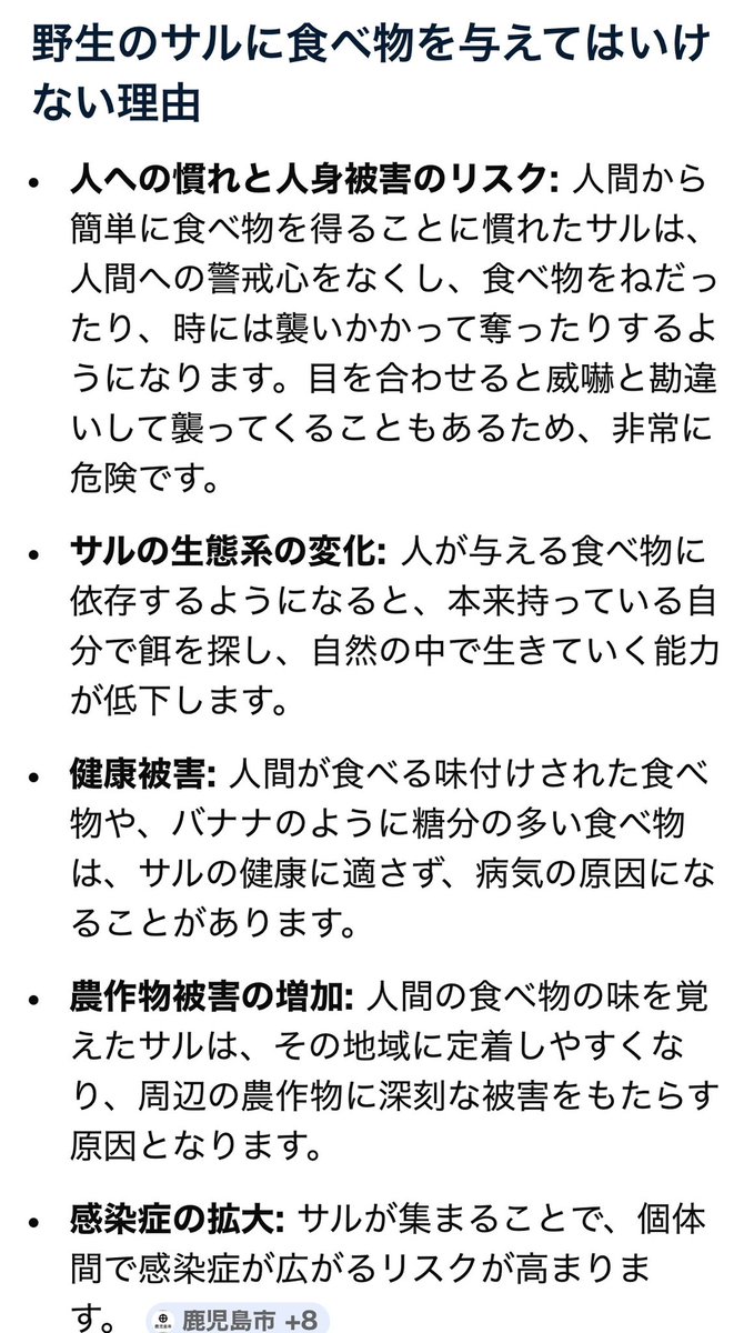 𝐶𝑜𝐶𝑜 ·̩͙꒰ঌ 𝐴𝑛𝑔𝑒𝑙'𝑠 𝑆ℎ𝑜𝑝 ໒꒱·̩͙ tweet media