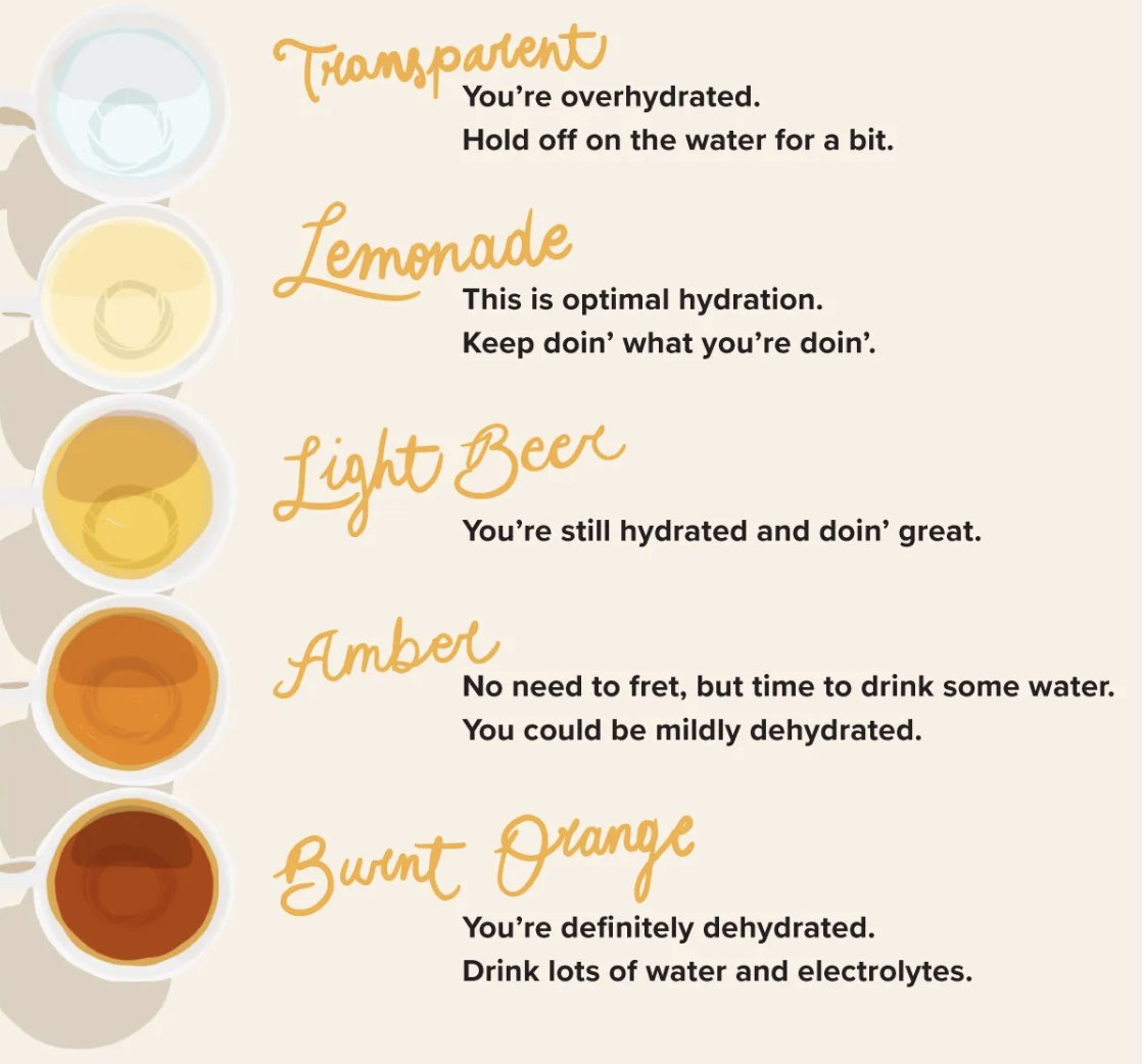 Jon Matzner tweet media