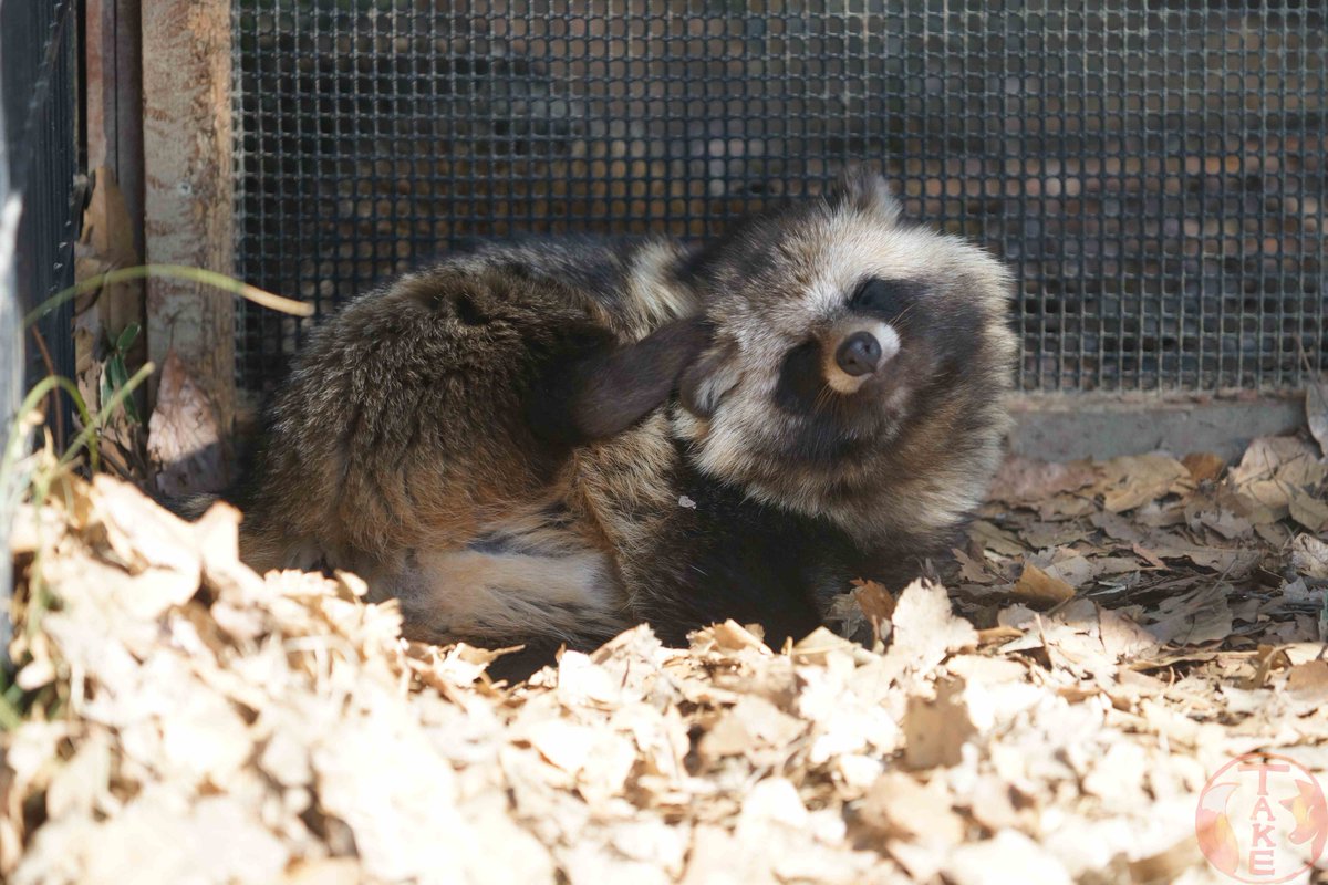 ひでさん (@zx06r) / Posts / X