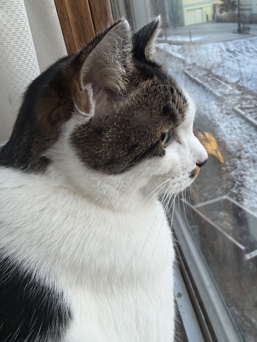 おはようございます🌞