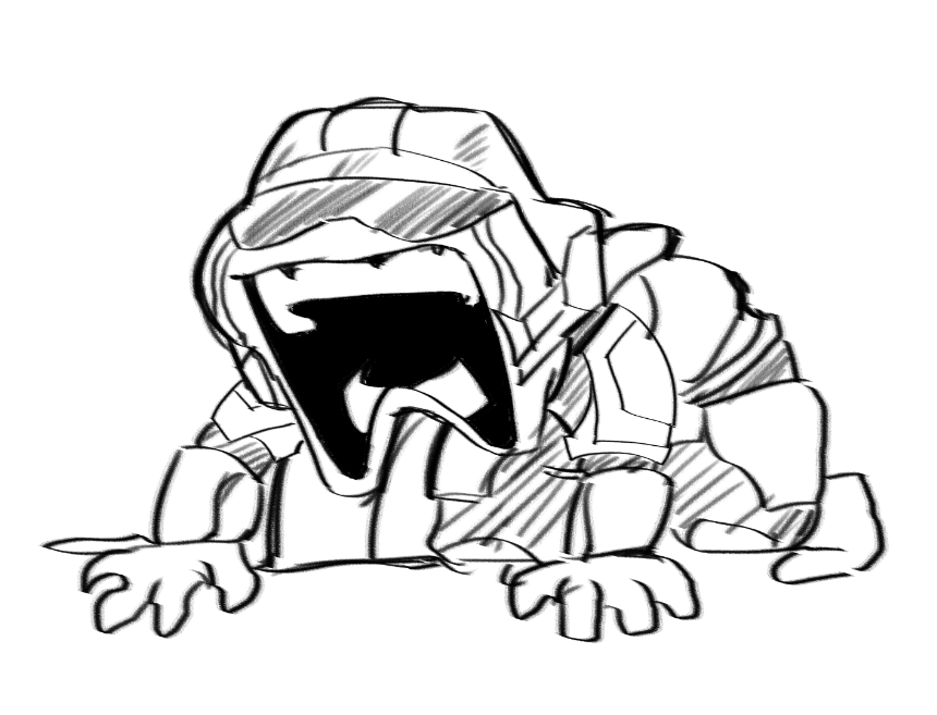 we didn't liberate crap