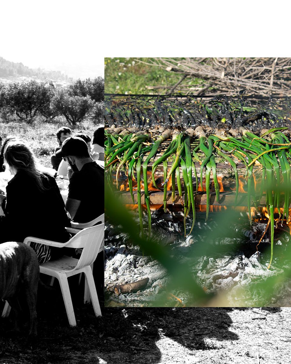 OJS Comarques Centrals tweet media