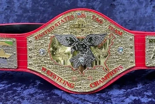 Daily Wrestling Championships tweet media