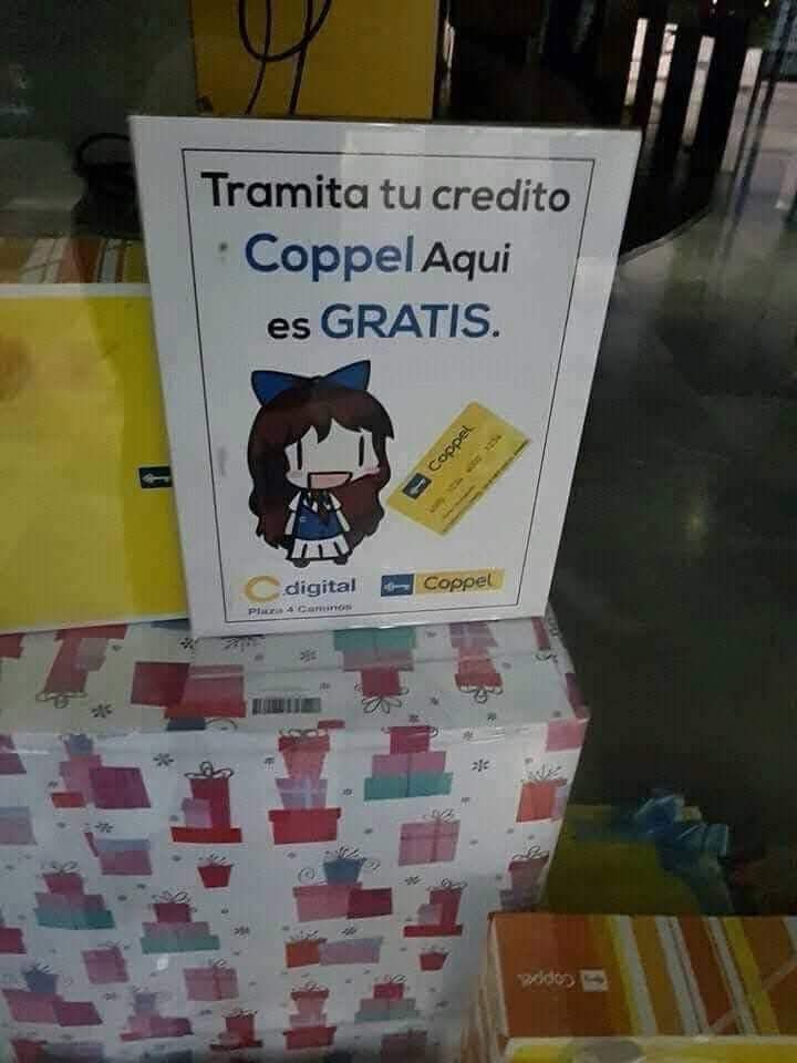 ángel (@p1ledr1ver_ag) on Twitter photo 