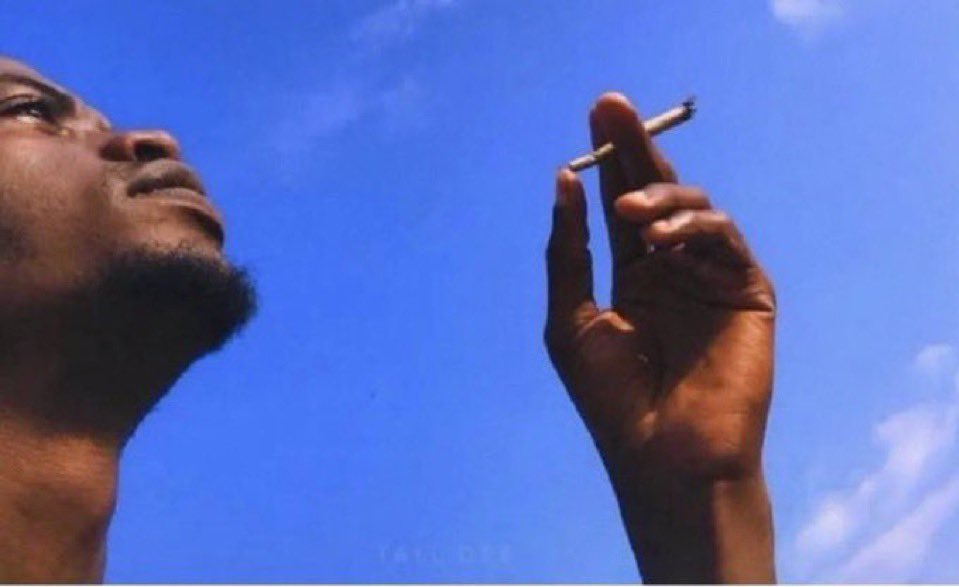 I need to eat RICE so that i can be WISE then when am WISE i will begin to RISE. when i finally RISE i must make sure to avoid LIES because when LIES comes in people will say i have LICES

I think after that i can then become the VICE president of RICE because i am NICE to SLICE