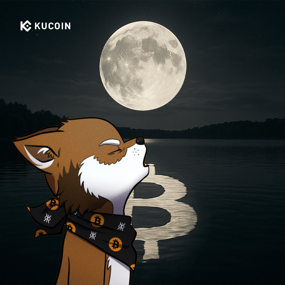 0xGoogly tweet media