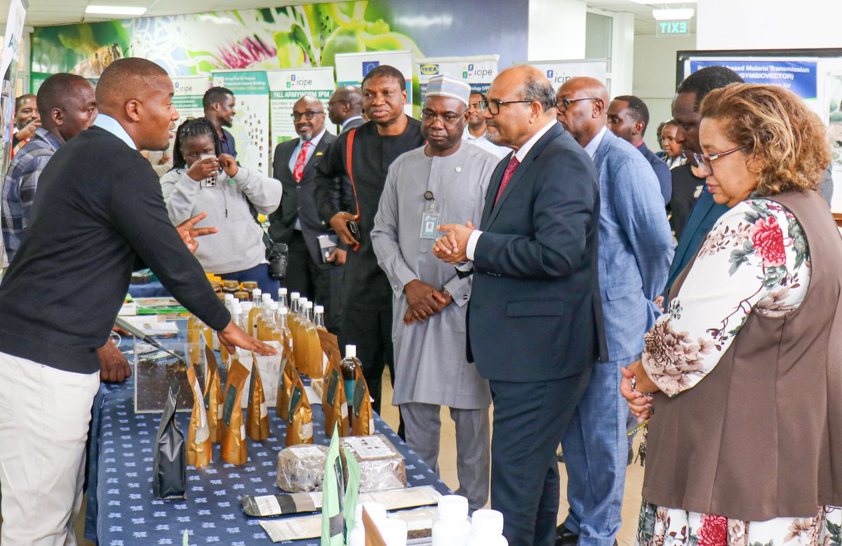 BioInnovate Africa tweet media