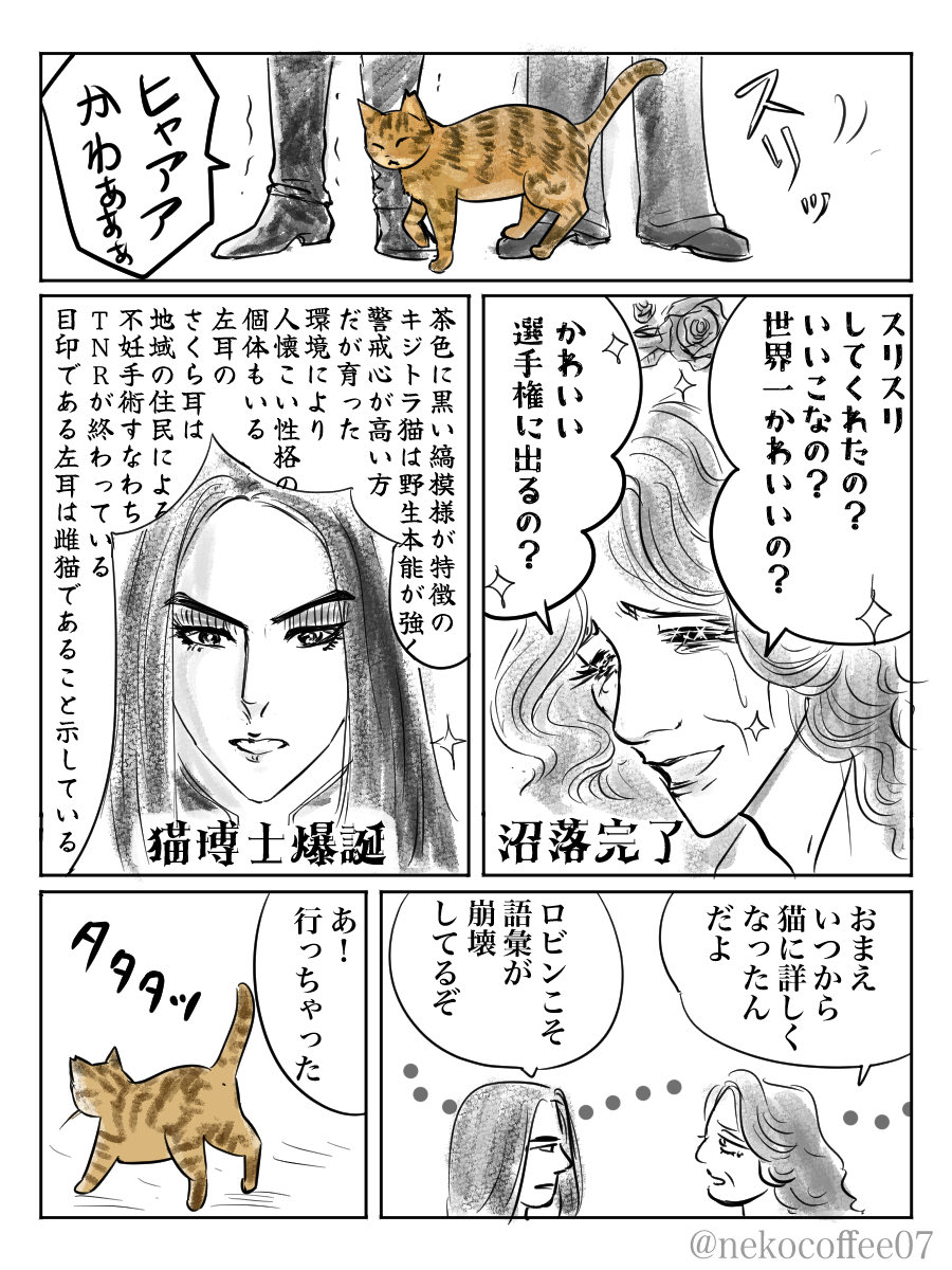 ならかよこ🐒絵置き専用 tweet media