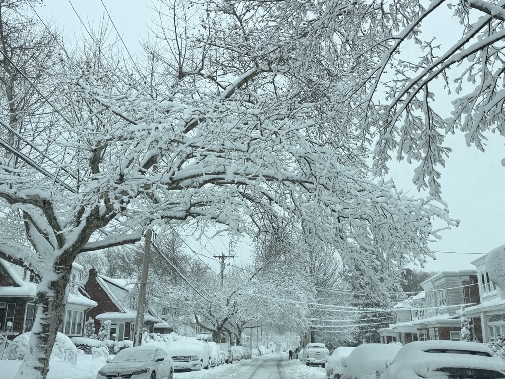 Philadelphia OEM tweet media