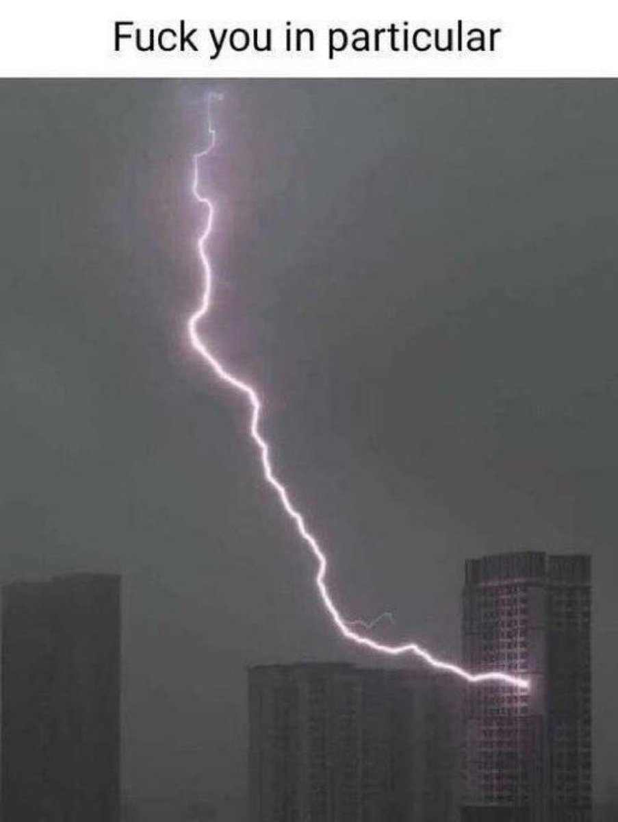 Daily Memes tweet media