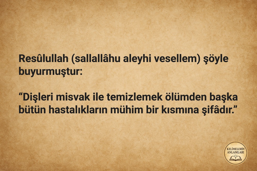 Resûlullah (sallallâhu aleyhi vesellem) şöyle buyurmuştur:
#hadis  #keşfet #reels #shorts #güzelahlak #ramazan #ramazanayı #40hadis  #kelimelerinanlamları #Allahkorkusu #gözyaşı #ibadet #islam #islamiyet  #müslüman #kulluk #misvak