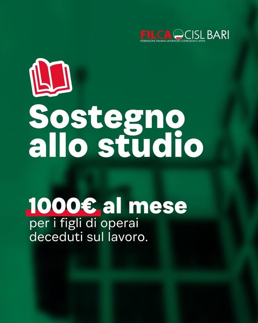 @filcabari tweet media