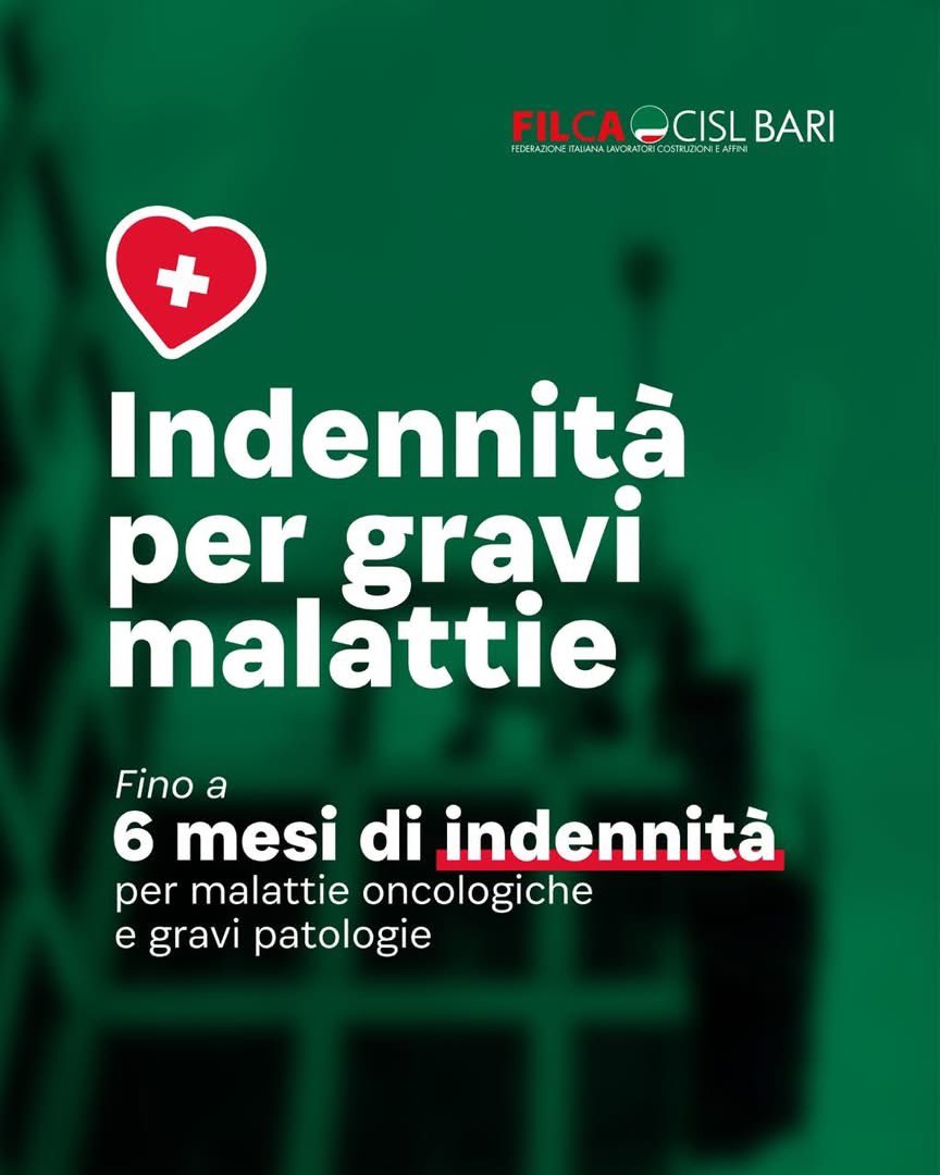 @filcabari tweet media