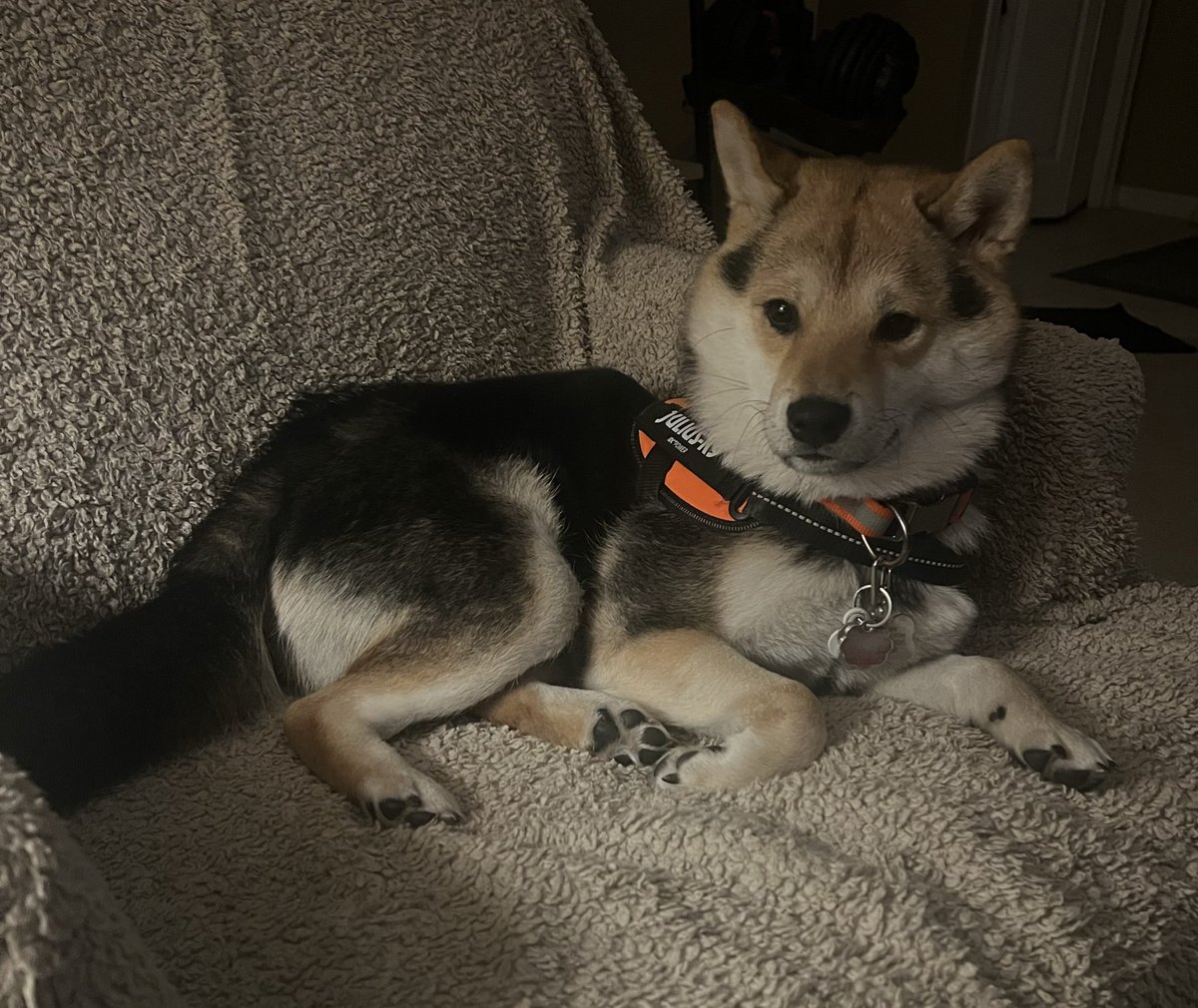 🩷 Holly 🩷 tweet media