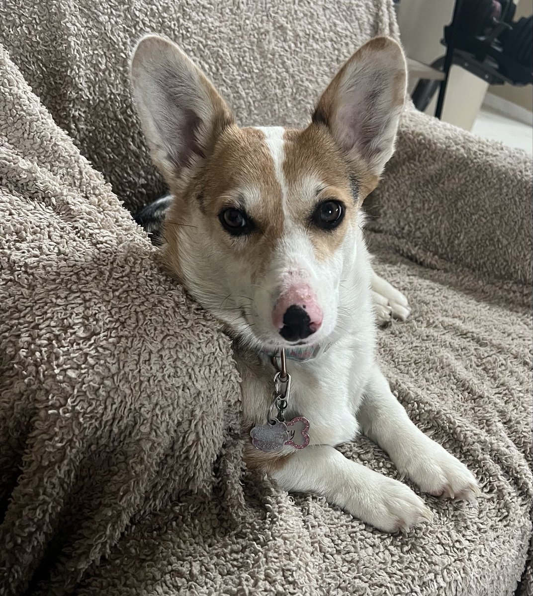 🩷 Holly 🩷 tweet media