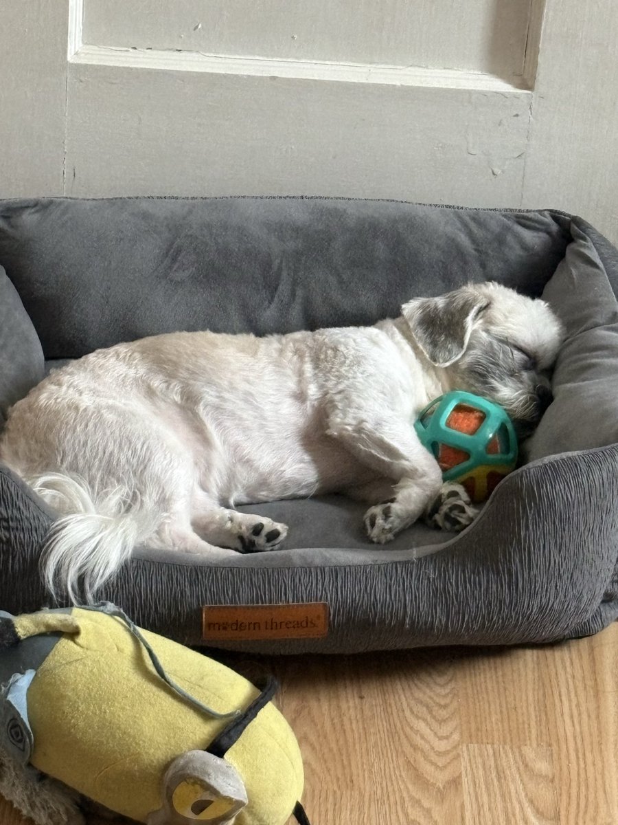 PopaSmurf215 tweet media