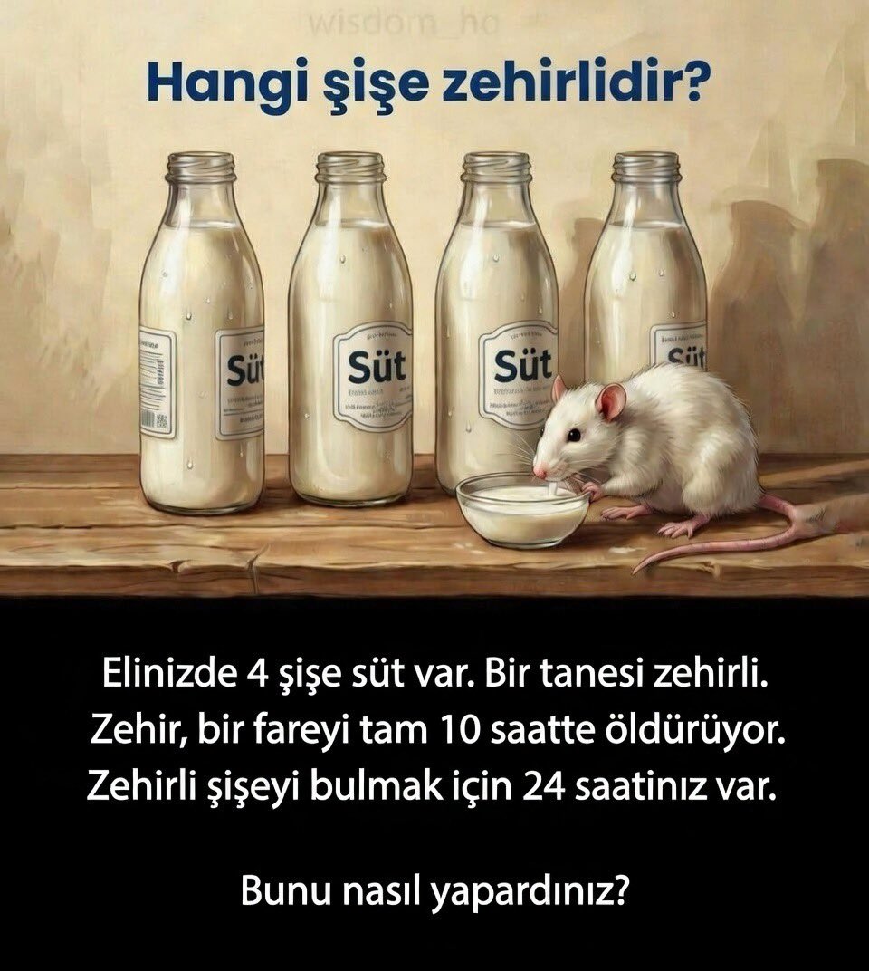 lαrα✨️ tweet media