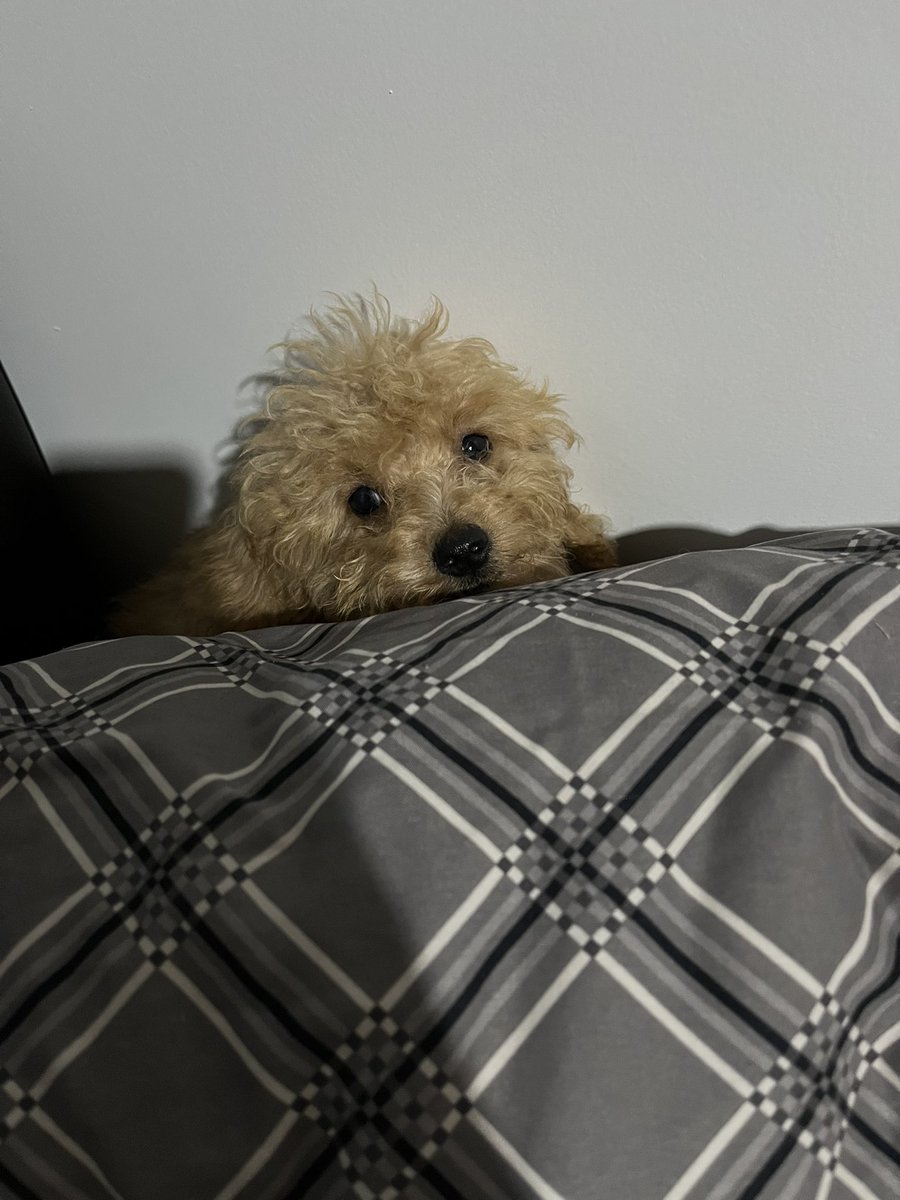 190+JOKI & JOKGEN ML • OPEN SEGALA NEEDS ML🐸 tweet media