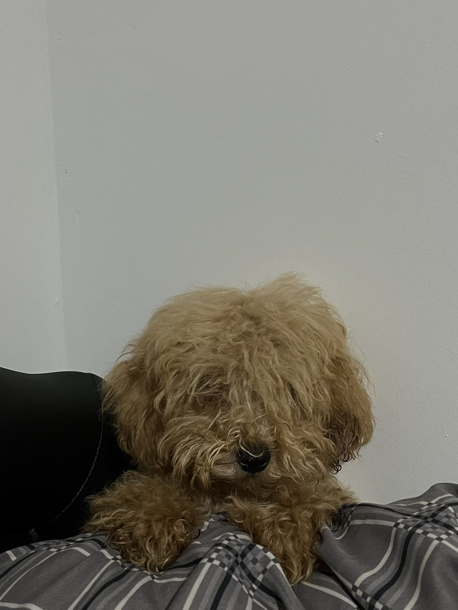 190+JOKI & JOKGEN ML • OPEN SEGALA NEEDS ML🐸 tweet media