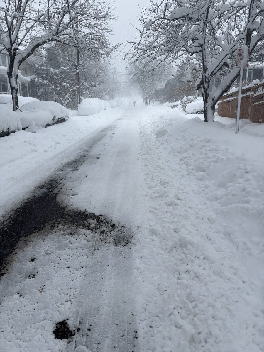 Anneurys tweet media