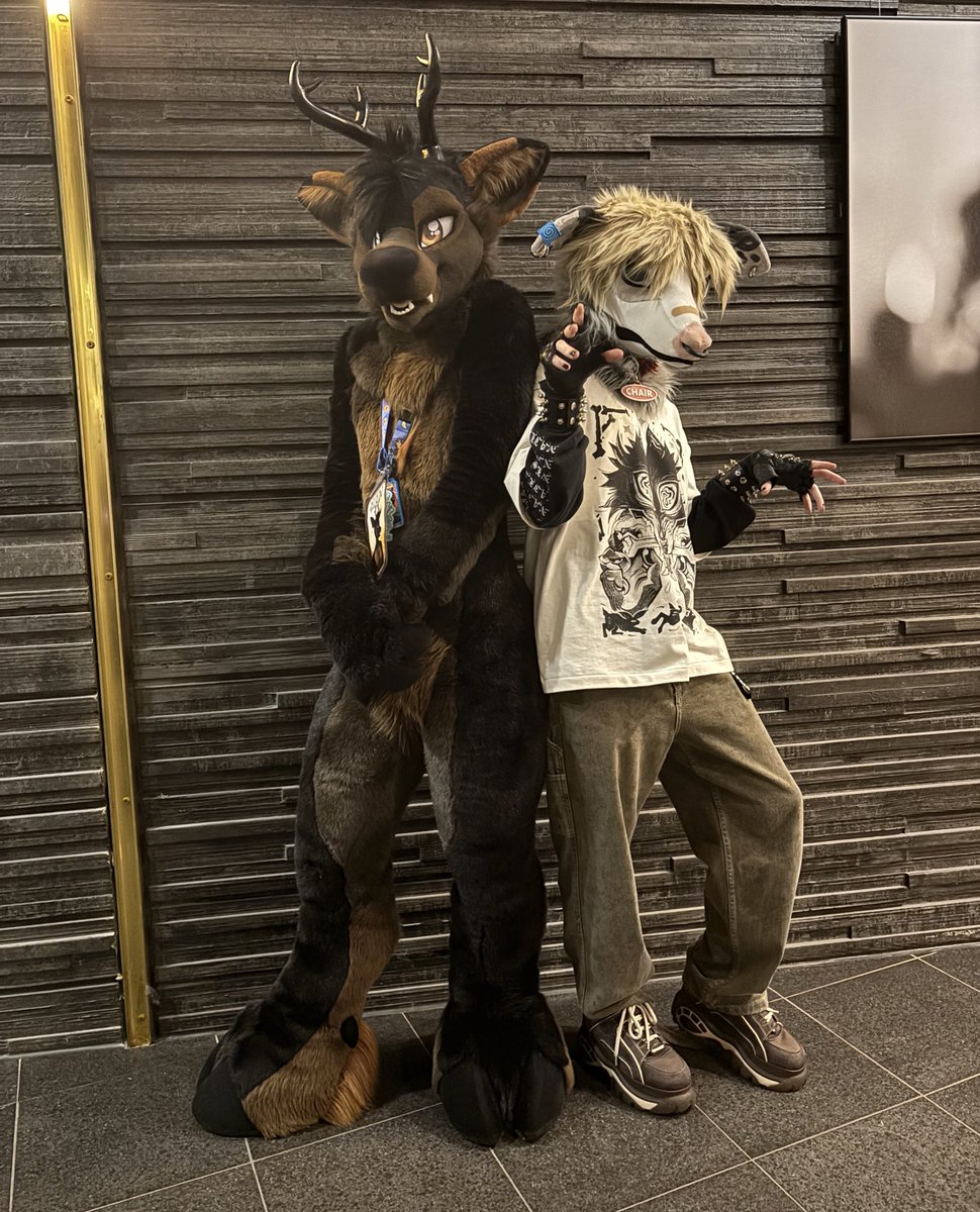 Beau 🔞🐀🔜 CFZ, EF tweet media