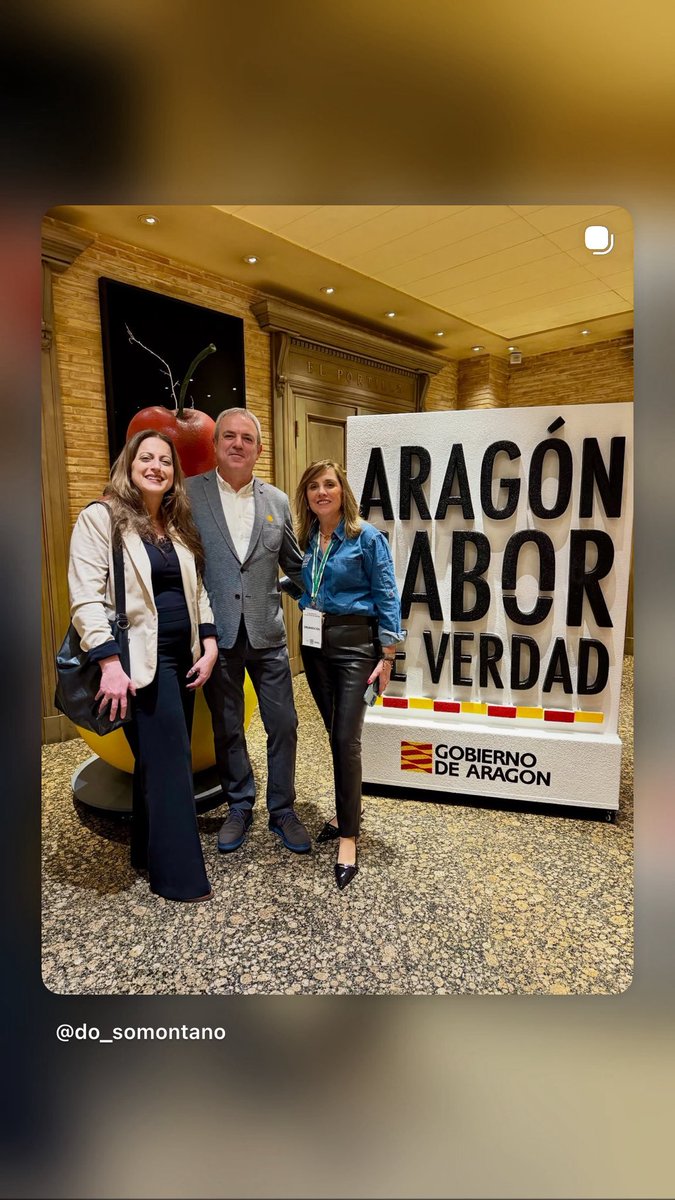 DO Somontano tweet media