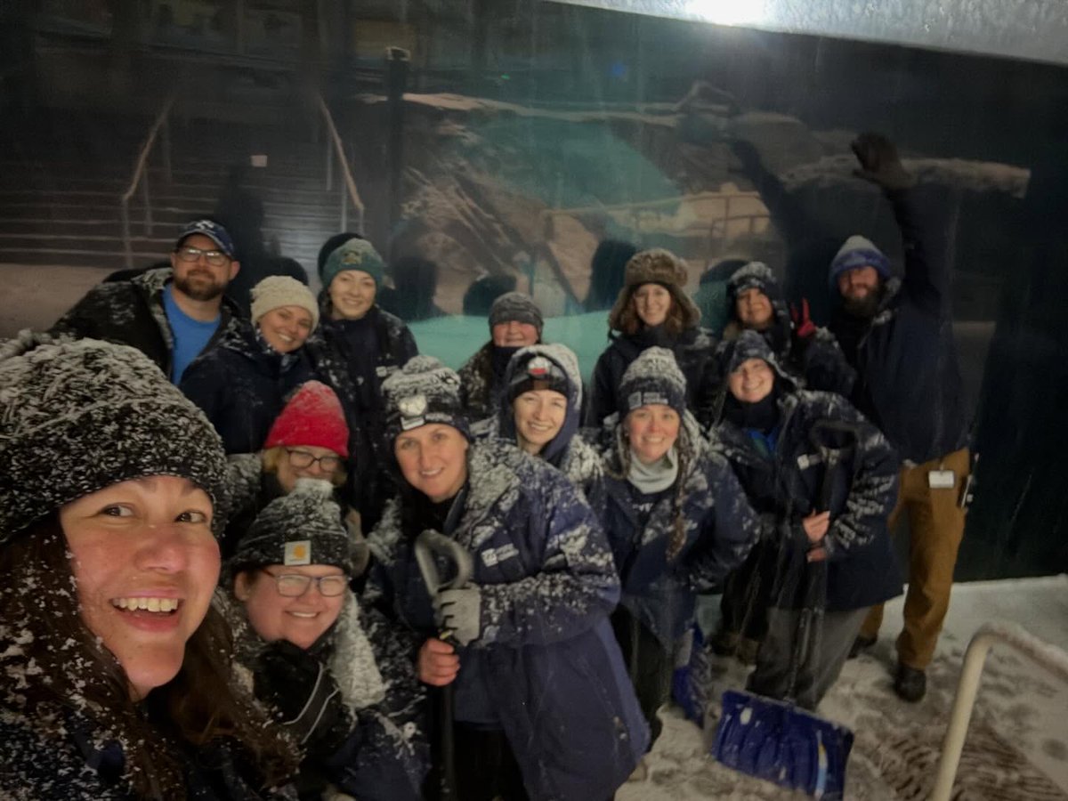 mysticaquarium's tweet photo. Special thank you to all our amazing staff who stayed overnight and are continuing to work through the storm to care for all the animals and remove snow from campus! #therealmvps https://t.co/e26qcOCSVM