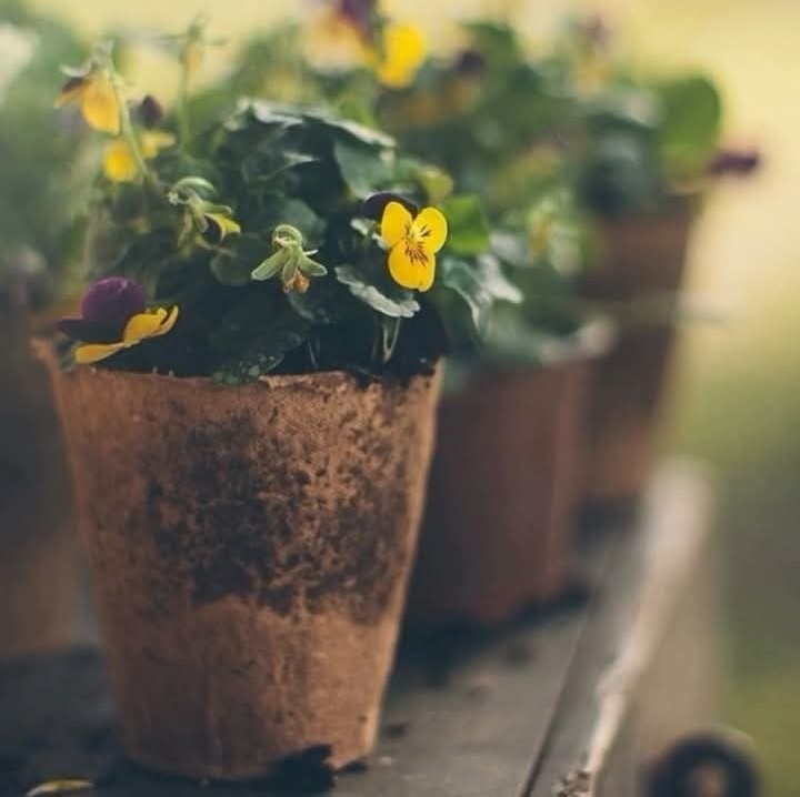 Her sabır mutlaka bir müjde 
Gizler dayanabilen için 

İyi geceler