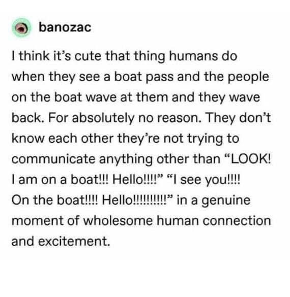 tradingMaxiSL's tweet image. Genuine moment of wholesome