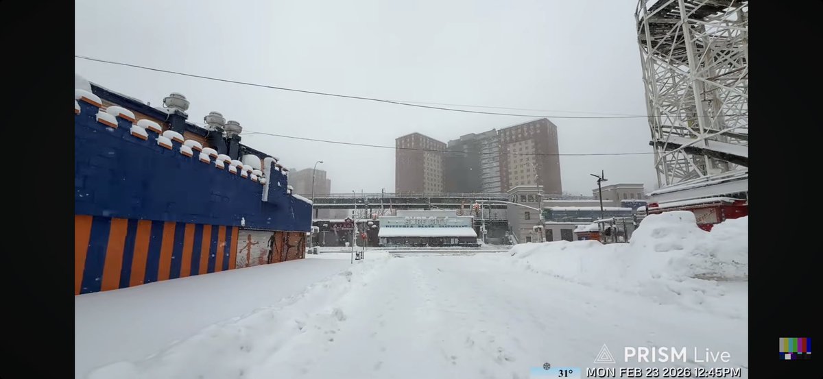 Debra Lee Bradley tweet media