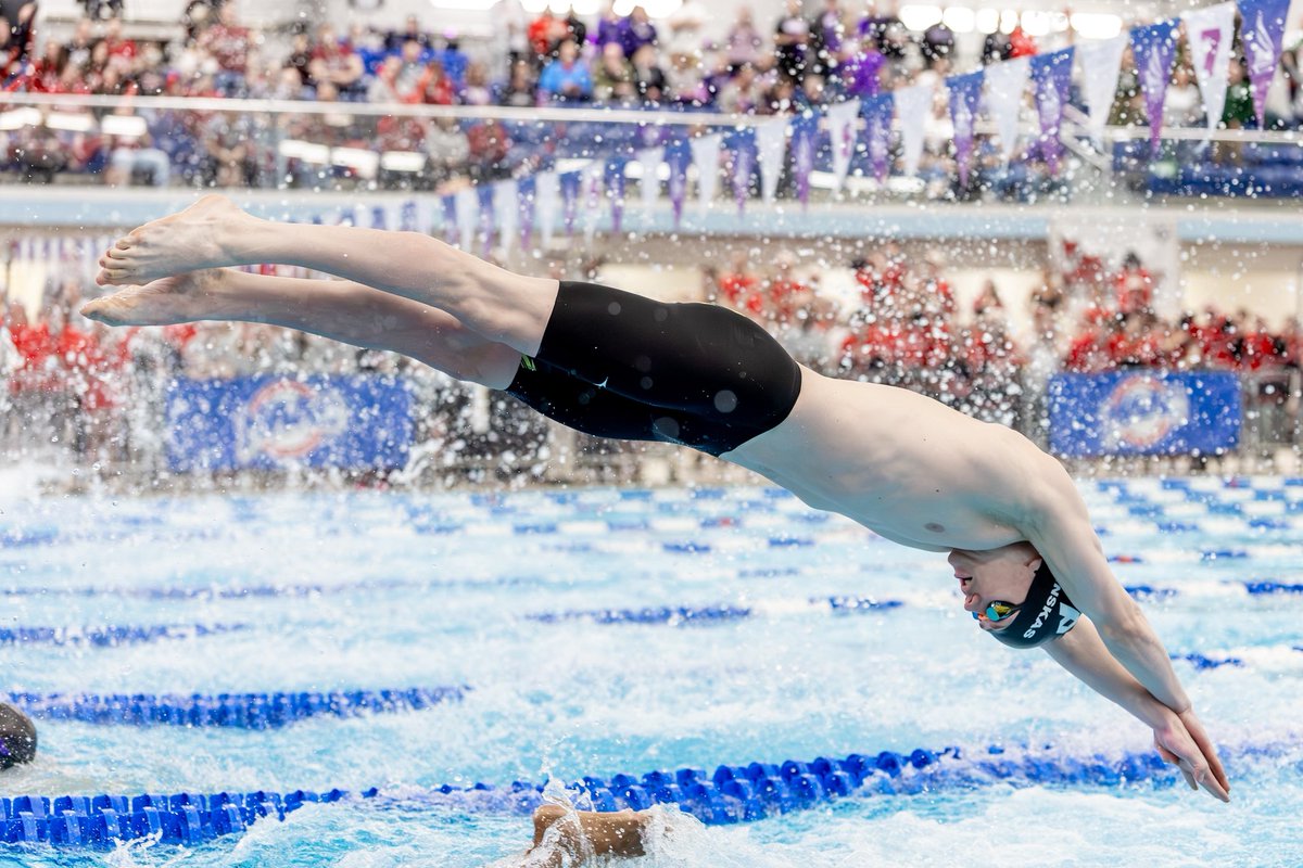 Saint Peter's Swimming & Diving tweet media