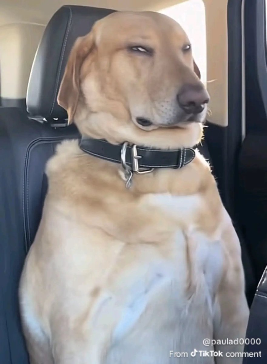 TraderJS7 tweet media