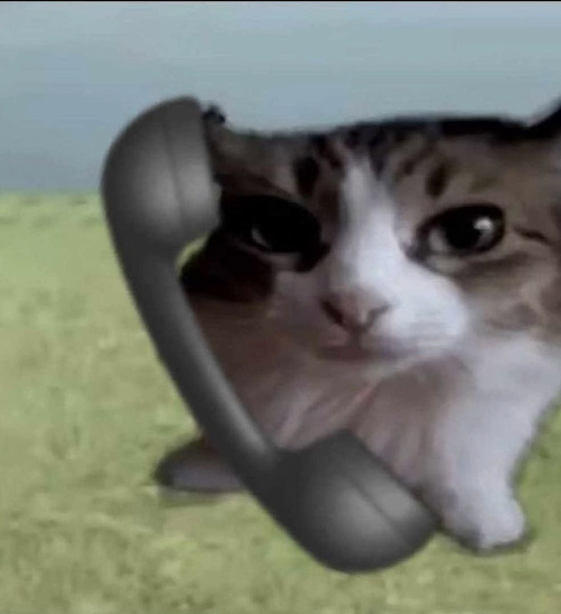 namjaymj tweet media