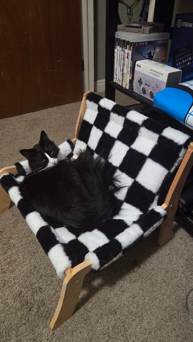 Nick Giffen tweet media