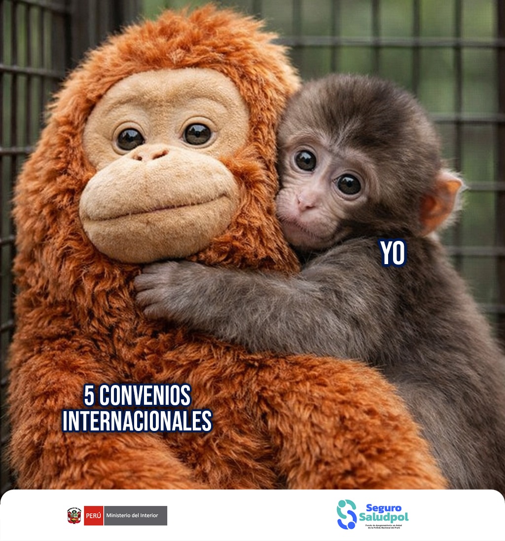 Nuestros cinco convenios internacionales vigentes con instituciones de China, España, Argentina, Colombia y Estados Unidos amplían el alcance de nuestra cobertura, permitiendo que nuestra familia policial acceda a servicios especializados incluso fuera del país.